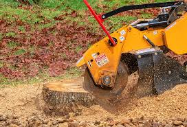 Best Tree and Shrub Care  in New Martinsville, WV